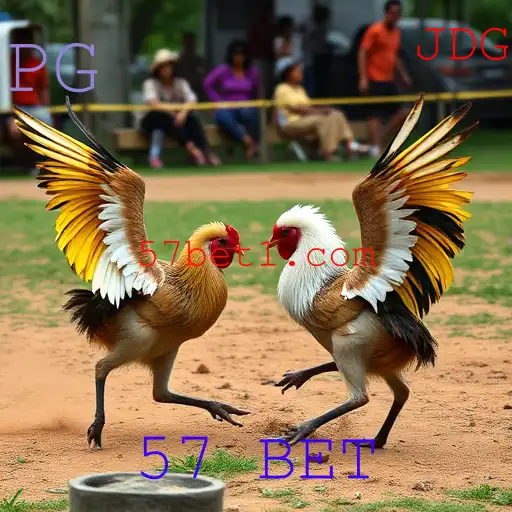 Jogos de sabong